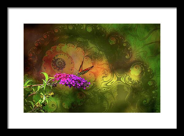 Butterfly on Magenta Flowers with Abstract Design - Framed Print
