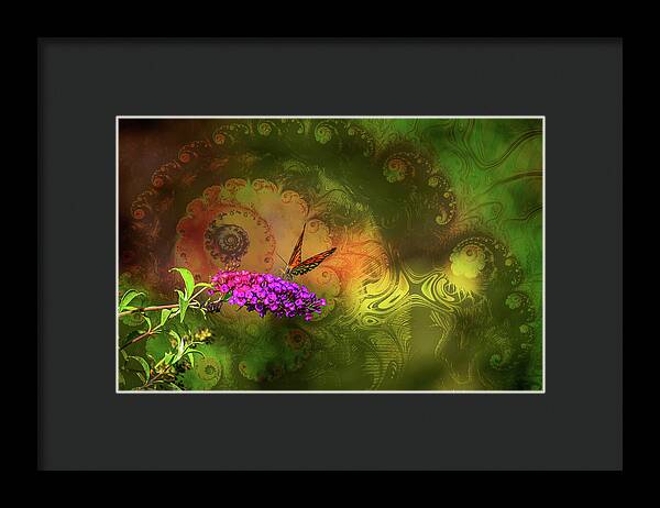 Butterfly on Magenta Flowers with Abstract Design - Framed Print