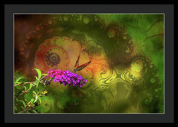 Butterfly on Magenta Flowers with Abstract Design - Framed Print