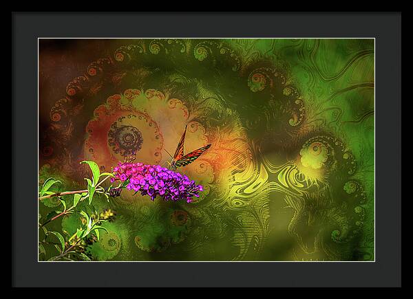Butterfly on Magenta Flowers with Abstract Design - Framed Print