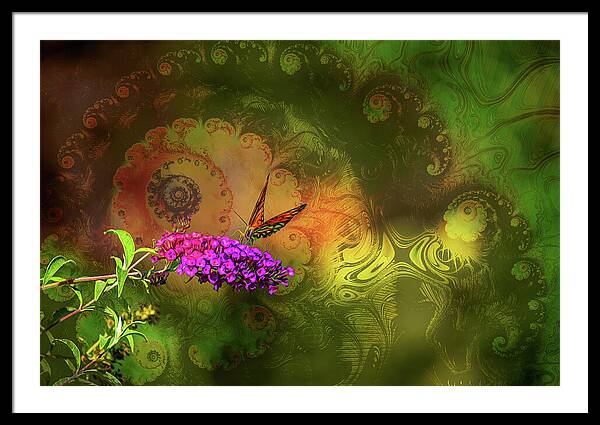 Butterfly on Magenta Flowers with Abstract Design - Framed Print