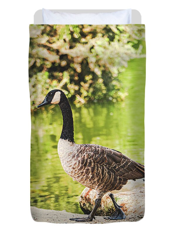 Canadian Goose by a Tranquil Pond - Duvet Cover