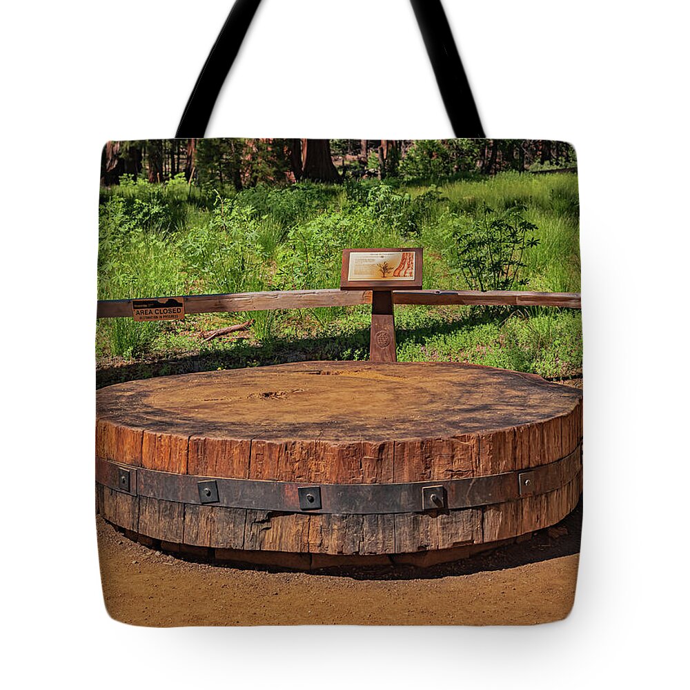 Chopped up Slice of a Giant Sequoia Display - Tote Bag