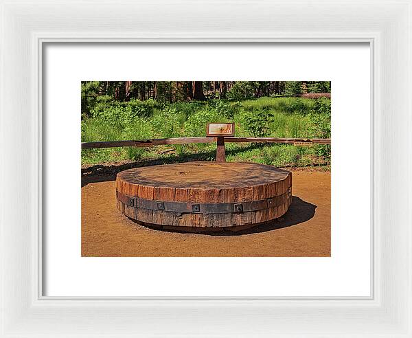 Chopped up Slice of a Giant Sequoia Display - Framed Print