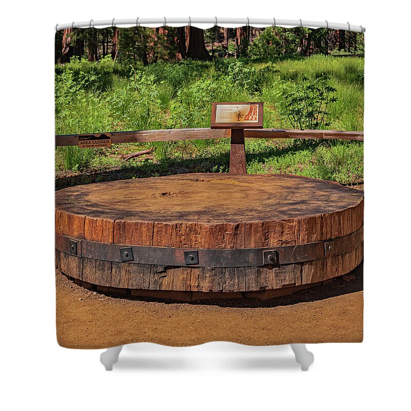 Chopped up Slice of a Giant Sequoia Display - Shower Curtain