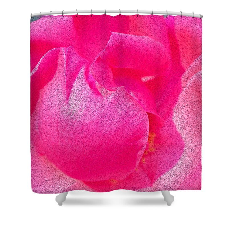 Closeup of a Wonderful Pink Rose - Shower Curtain