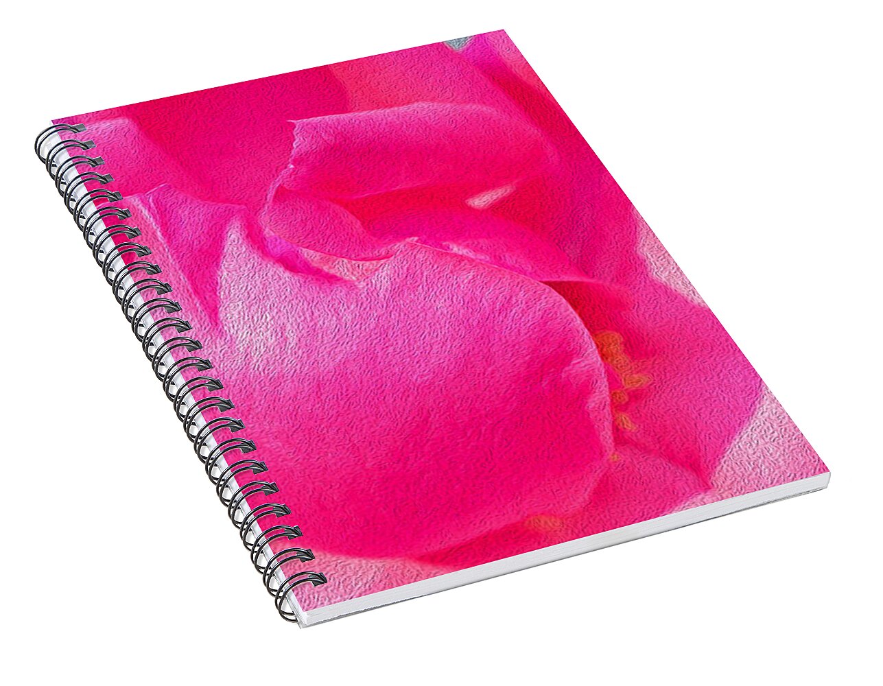Closeup of a Wonderful Pink Rose - Spiral Notebook