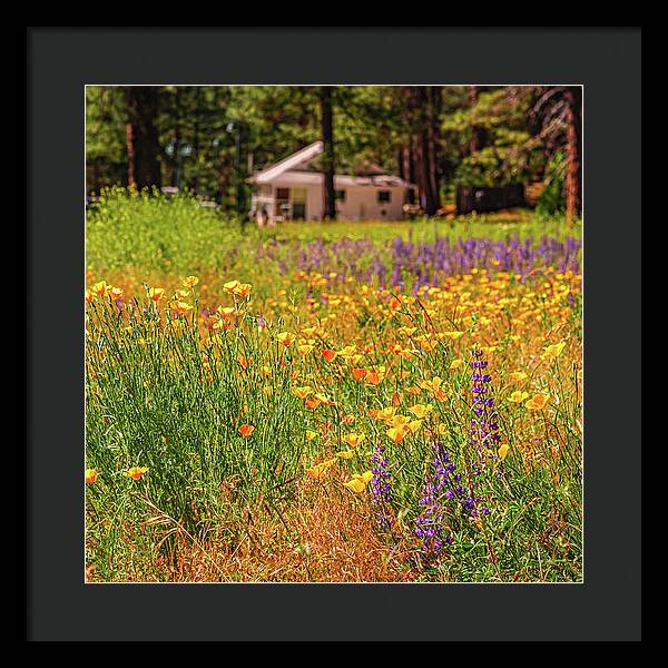 Colorful and Vibrant Meadows With Wild Flowers - Framed Print