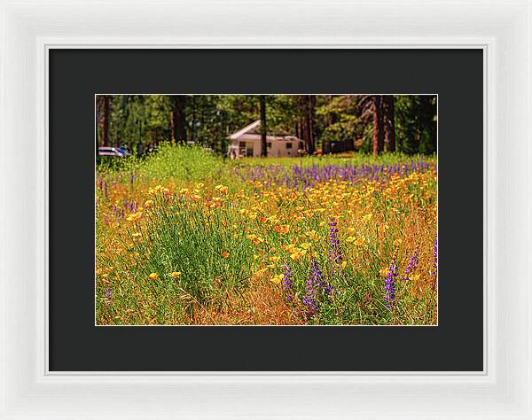 Colorful and Vibrant Meadows With Wild Flowers - Framed Print