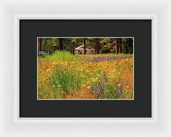 Colorful and Vibrant Meadows With Wild Flowers - Framed Print