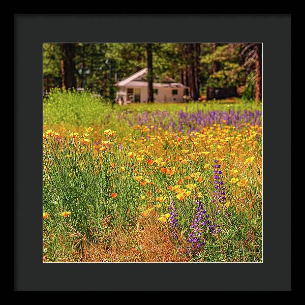 Colorful and Vibrant Meadows With Wild Flowers - Framed Print