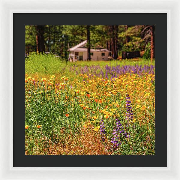 Colorful and Vibrant Meadows With Wild Flowers - Framed Print