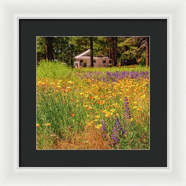 Colorful and Vibrant Meadows With Wild Flowers - Framed Print