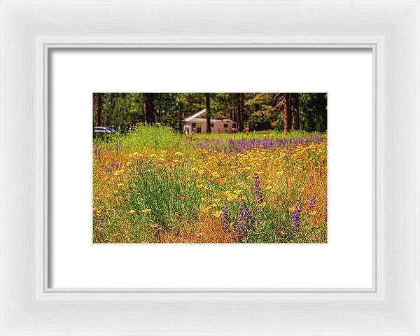 Colorful and Vibrant Meadows With Wild Flowers - Framed Print