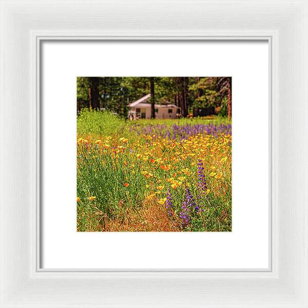 Colorful and Vibrant Meadows With Wild Flowers - Framed Print