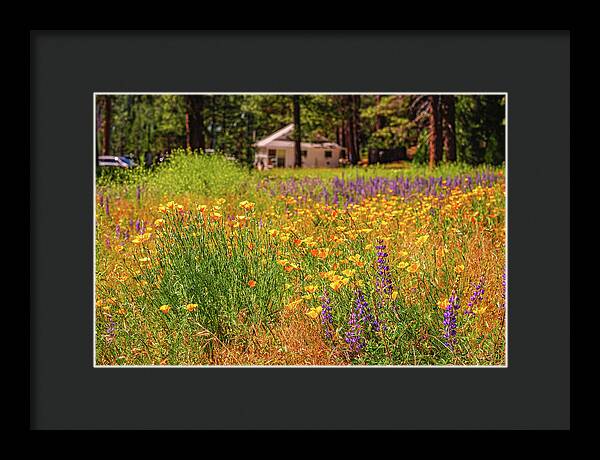 Colorful and Vibrant Meadows With Wild Flowers - Framed Print