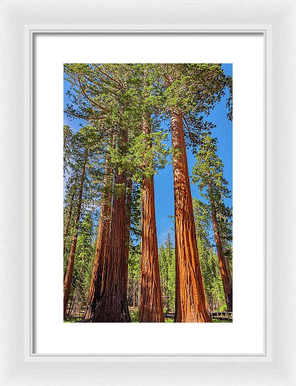 Colorful Landscape Scenery of Nature - Framed Print