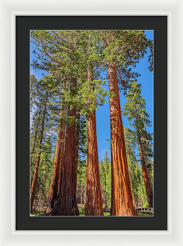 Colorful Landscape Scenery of Nature - Framed Print