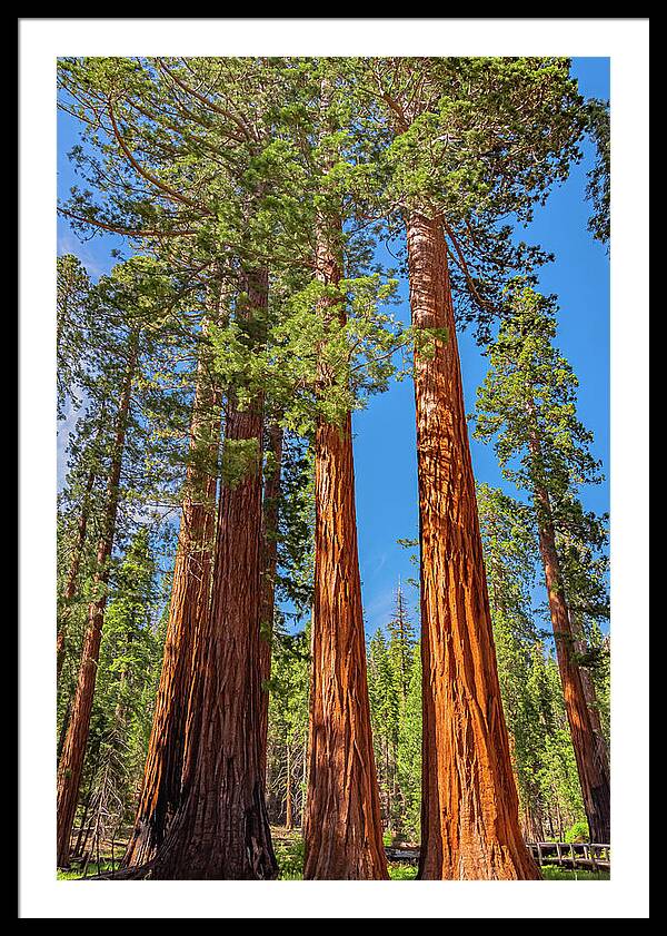 Colorful Landscape Scenery of Nature - Framed Print
