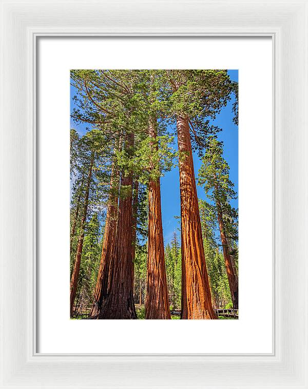 Colorful Landscape Scenery of Nature - Framed Print
