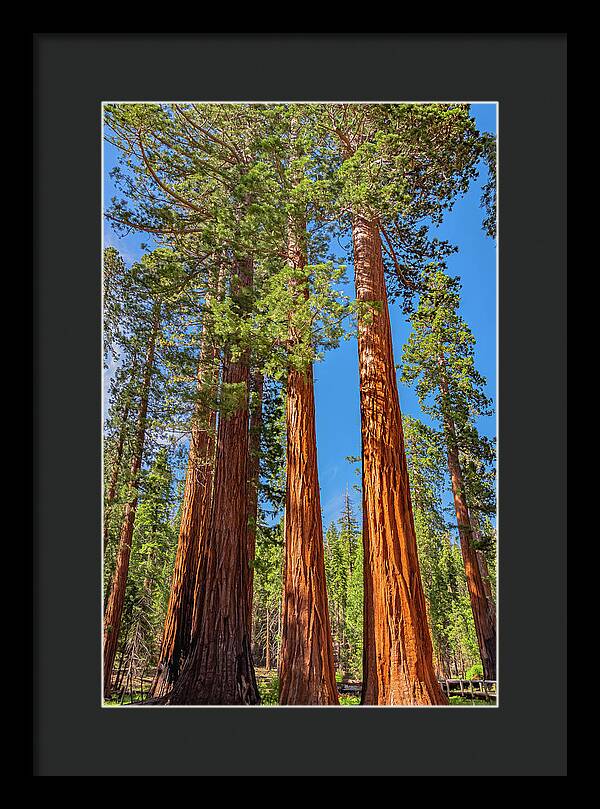 Colorful Landscape Scenery of Nature - Framed Print