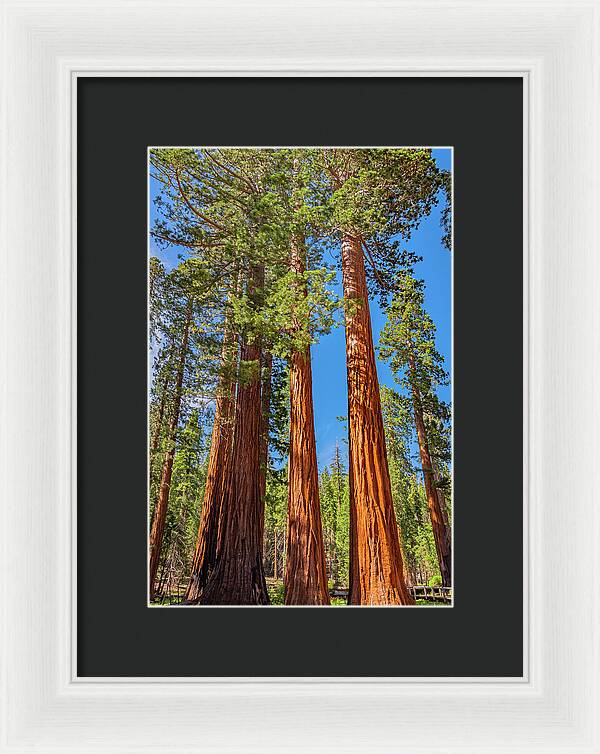 Colorful Landscape Scenery of Nature - Framed Print