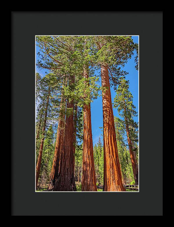 Colorful Landscape Scenery of Nature - Framed Print