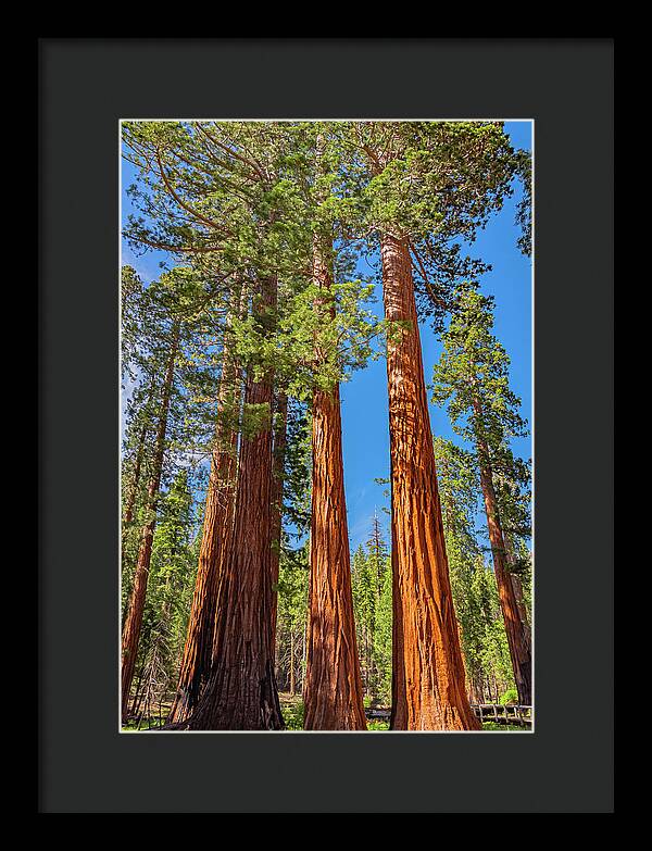 Colorful Landscape Scenery of Nature - Framed Print