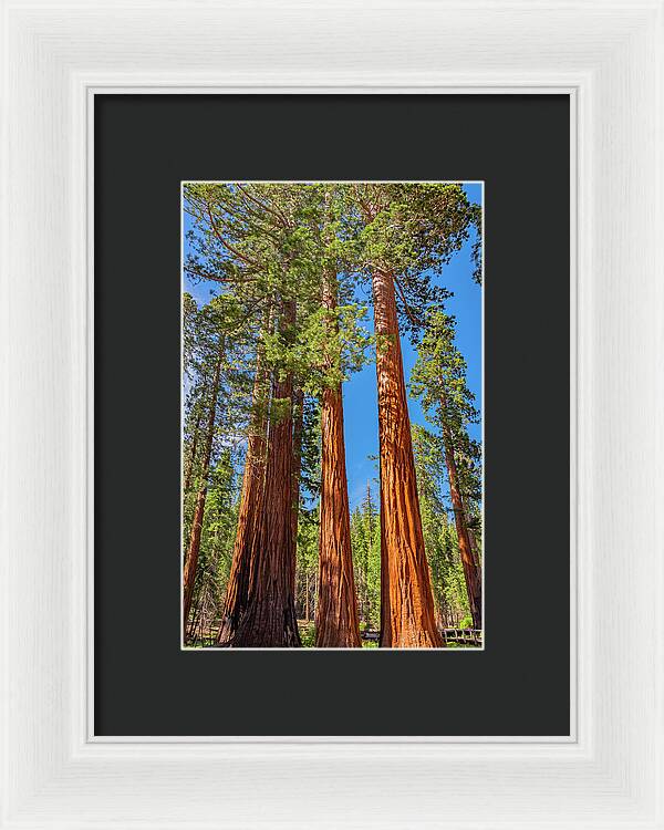 Colorful Landscape Scenery of Nature - Framed Print