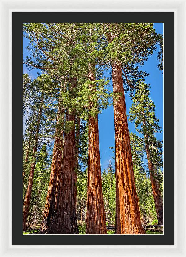 Colorful Landscape Scenery of Nature - Framed Print