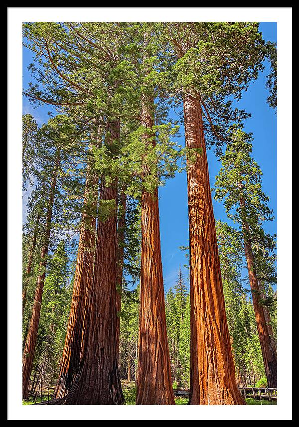 Colorful Landscape Scenery of Nature - Framed Print