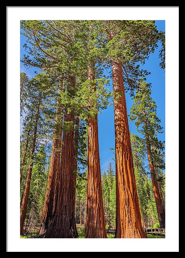 Colorful Landscape Scenery of Nature - Framed Print