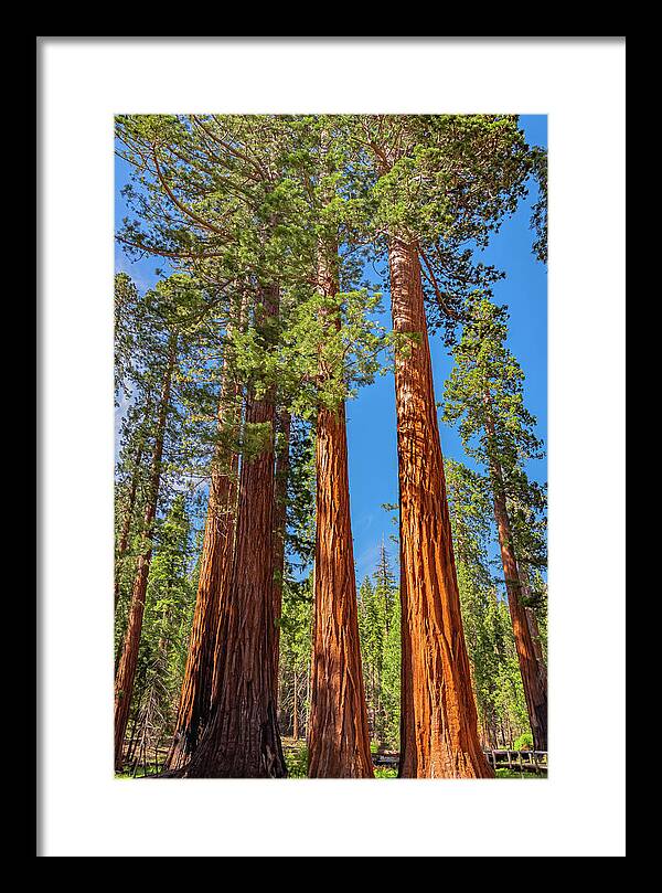 Colorful Landscape Scenery of Nature - Framed Print
