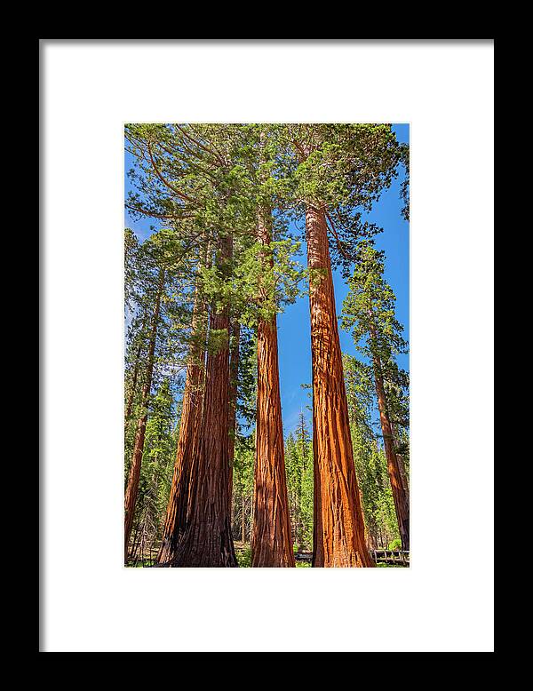 Colorful Landscape Scenery of Nature - Framed Print