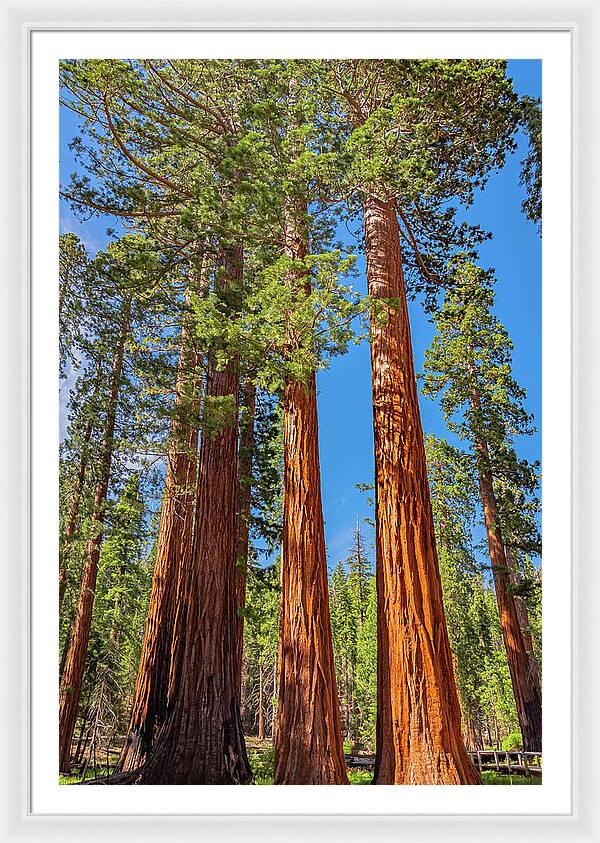 Colorful Landscape Scenery of Nature - Framed Print