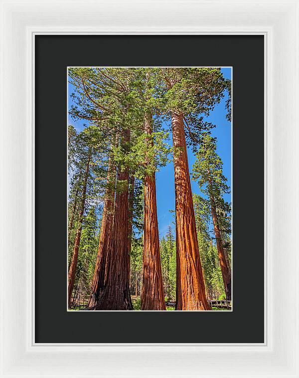Colorful Landscape Scenery of Nature - Framed Print