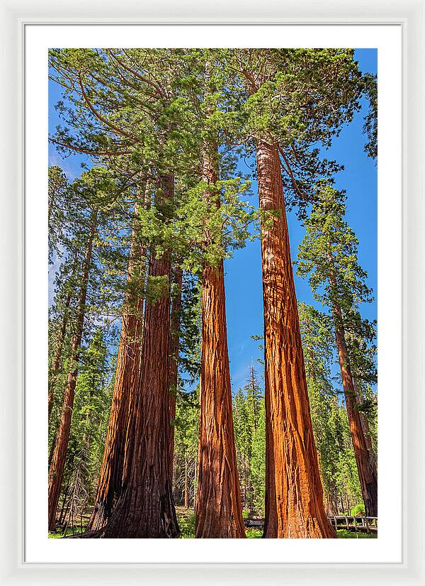 Colorful Landscape Scenery of Nature - Framed Print