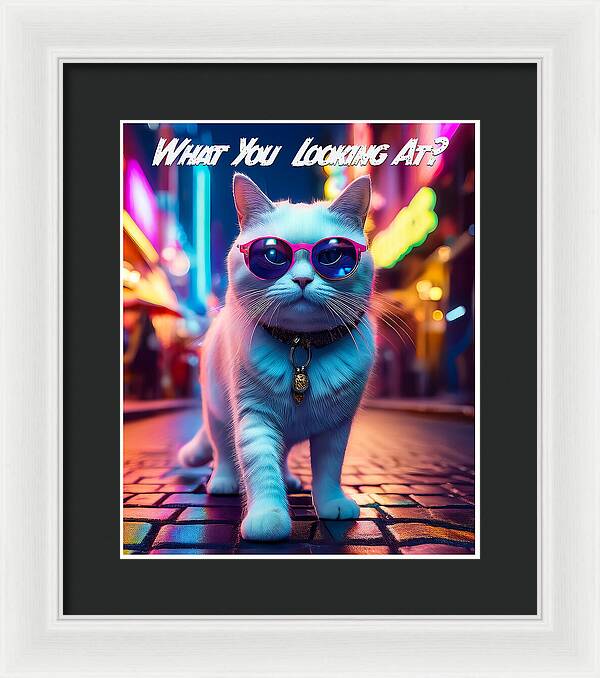 Cool Cat in Sunglasses - Framed Print