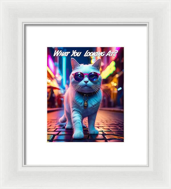 Cool Cat in Sunglasses - Framed Print