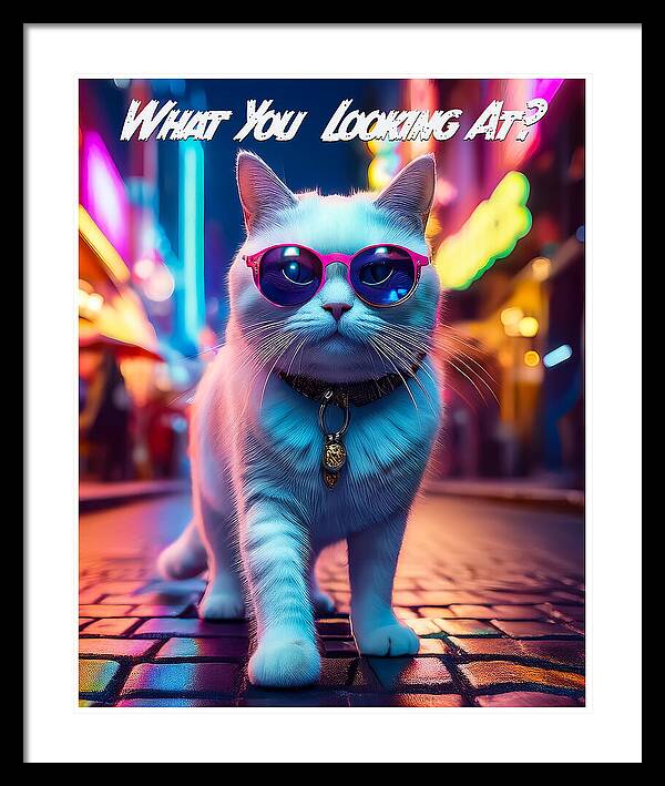 Cool Cat in Sunglasses - Framed Print