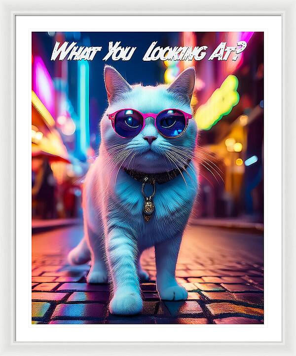 Cool Cat in Sunglasses - Framed Print