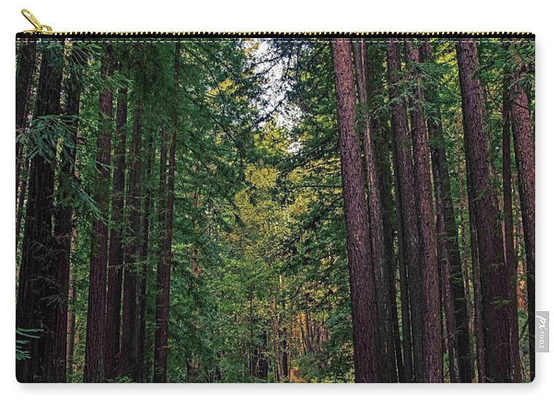 Cowell Redwoods State Park - Zip Pouch