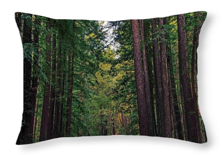 Cowell Redwoods State Park - Throw Pillow