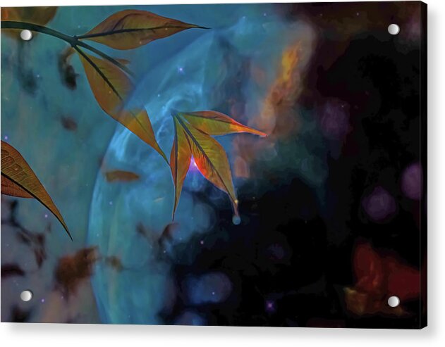 Creative Nature and Planetary Background - Acrylic Print