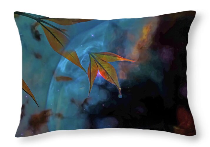 Creative Nature and Planetary Background - Throw Pillow