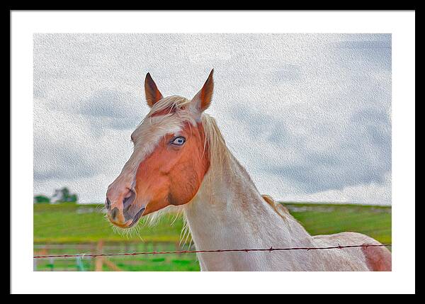 Cute Horse Mixed Media Art - Framed Print