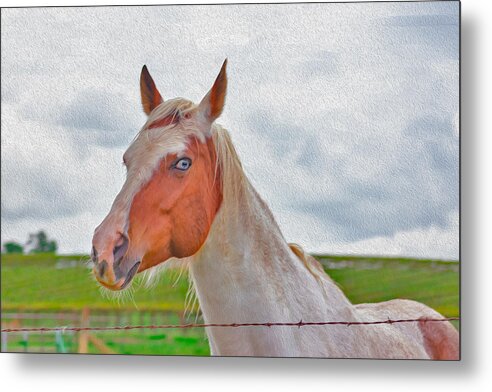 Cute Horse Mixed Media Art - Metal Print