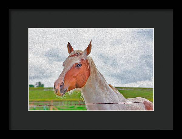 Cute Horse Mixed Media Art - Framed Print