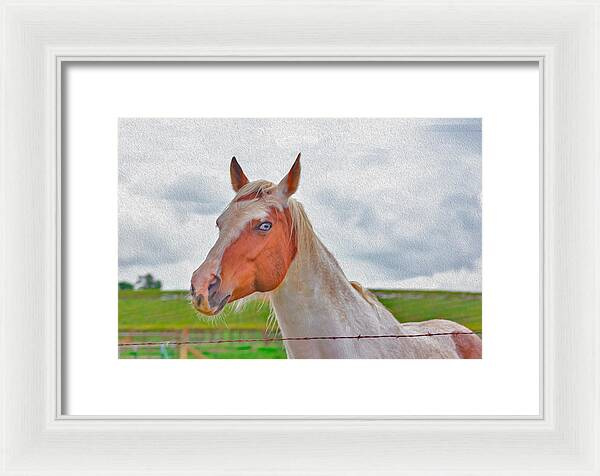 Cute Horse Mixed Media Art - Framed Print