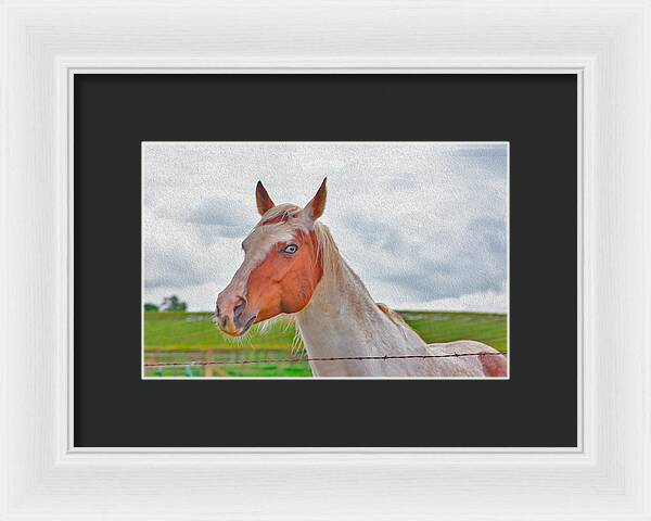 Cute Horse Mixed Media Art - Framed Print